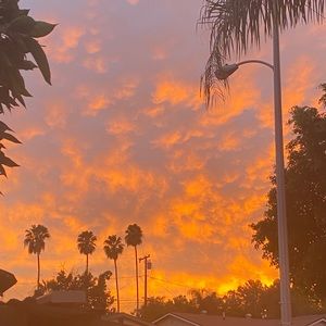 Meet your Posher, Jocelyn